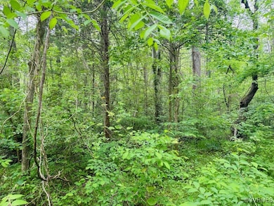 View of wooded area