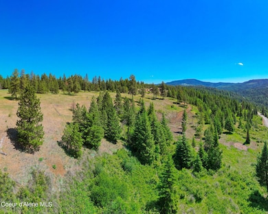 NKA 1A Skyview Rd, Harrison, ID 83833 - photo 3