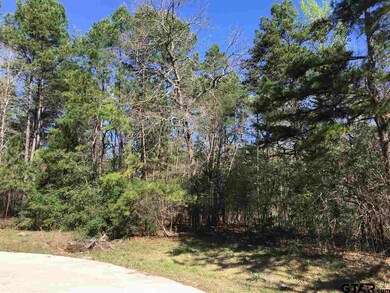 14861 Lake Meadow Ct, Tyler, TX 75707 - photo 2