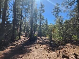 5155 Walnut Dr, Pine, AZ 85544 - photo 3