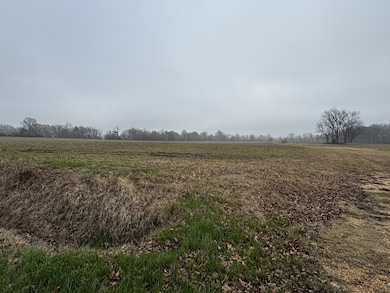 0 Lightfoot Luckett Rd, Ripley, TN 38063 - photo 7