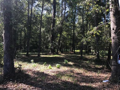 Ready for your homestead