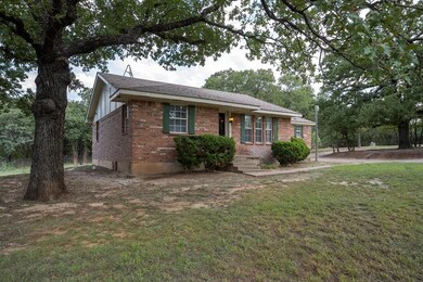 303 Leea Ln, Weatherford, TX 76087 - photo 3