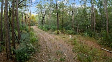 17453 Shop Branch Rd, Huntington, TX 75949 - photo 5