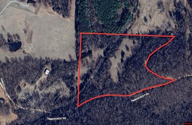 677319890006773 Timbercrest Rd, Viola, AR 72583 - photo 2