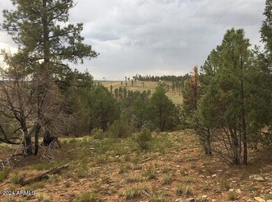 4675 Lookout Point Rd unit 117, Happy Jack, AZ 86024 - photo 5