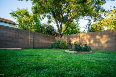 backyard 2