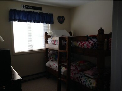 14 Hayes Drive #29 unit 29, Woodstock, NH 03262 - photo 7