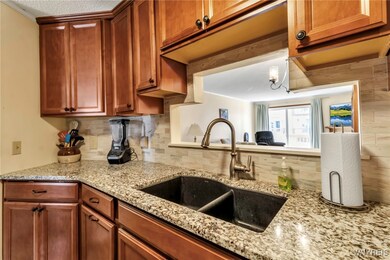 Really nice Blanco sink, and a pass-through to the