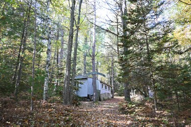 Scott Trail (5)