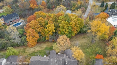 Drone / aerial view of a tree filled landscape