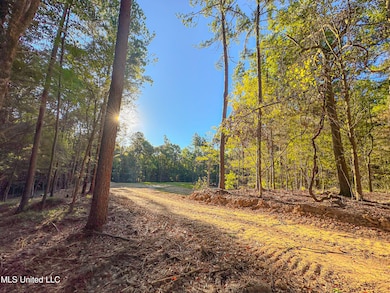 0 Mount Leopard Rd, Flora, MS 39071 - photo 3