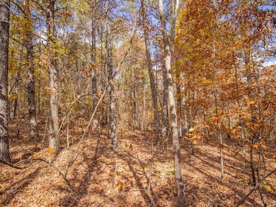 0 Galway Dr unit 7686051, Kingston, GA 30145 - photo 5