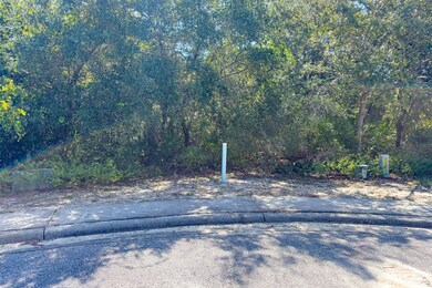 110 Spoonbill Ct, Carrabelle, FL 32322 - photo 5