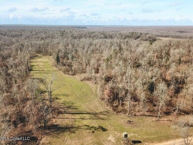 1002 Travelers Rest, Lorman, MS 39096 - photo 5