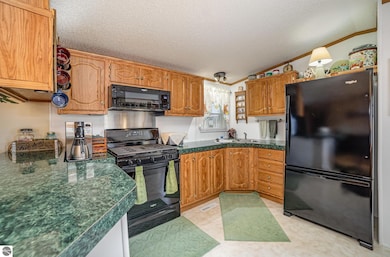 10269 30th Ave, Evart, MI 49631 - photo 5