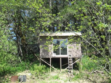Cabin/Shed
