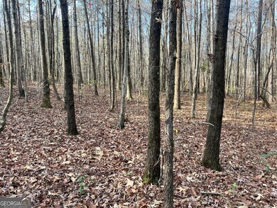 0 Hwy 5 unit 10652363, Douglasville, GA 30135 - photo 7