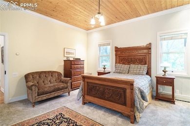 Bedroom featuring light colored carpet, wooden ceiling, multiple windows, ornamental molding, and baseboards and walks out to front porch and pond