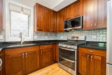 21 E 26th St unit 3, Chicago, IL 60616 - photo 6