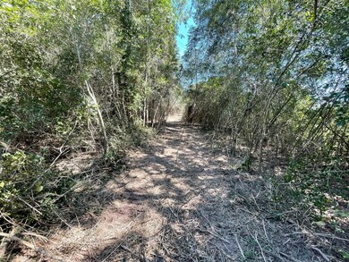 22425 Roberts Cemetery Rd, Hockley, TX 77447 - photo 3