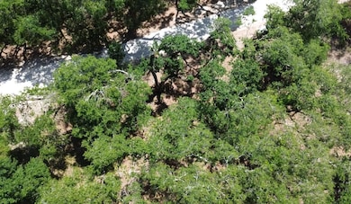 0 Turtle St unit MFRTB8377054, Ridge Manor, FL 33523 - photo 7