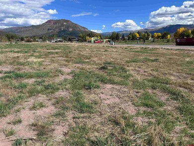 78 Elkview Ct, Durango, CO 81301 - photo 4