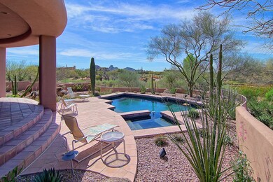 6-16-Back Yard