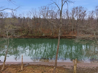 81 Lobo Cove unit Cabin 10, Heber Springs, AR 72543 - photo 7