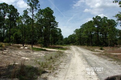 496 Dreamland Dr, Lake Placid, FL 33852 - photo 4