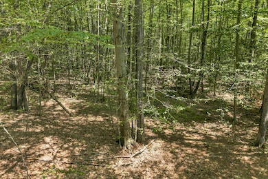 101-125 Winslow Rd, Weare, NH 03281 - photo 6