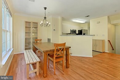 4520 Superior Square unit 4520, Fairfax, VA 22033 - photo 7