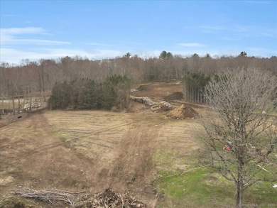 103 S Street Extension, Coventry, CT 06238 - photo 7