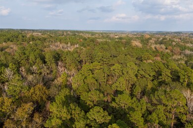 00 Farm To Market Road 228, Grapeland, TX 75844 - photo 7