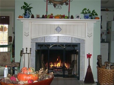 54 Frank Lawson Ln, Leicester, NC 28748 - photo 4