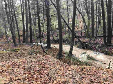 0 Mongold Hollow Rd, Mathias, WV 26812 - photo 3