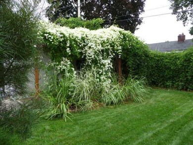 Yard/Garden