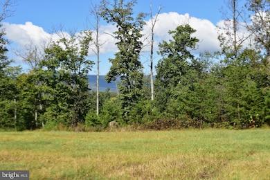 158.5 Acres Lot 3 Laurel Grove Rd, Winchester, VA 22602 - photo 3