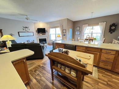 7517 5th St N, Saint Paul, MN 55128 - photo 4