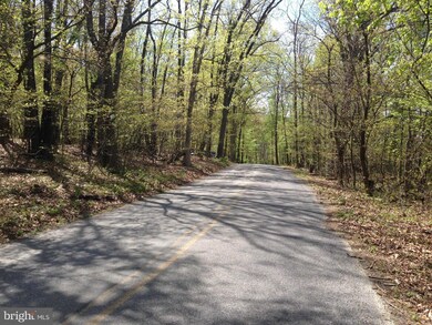 PARCEL 44 Hoffmaster Rd, 11, Sandy Hook, MD 21758 - photo 3