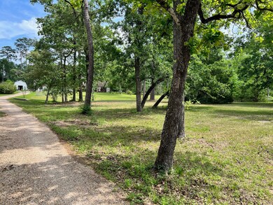 Beautiful drive into the property