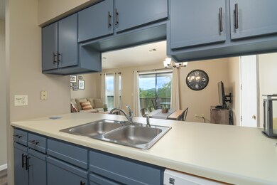 158 Troon Dr unit 19, Branson, MO 65616 - photo 6