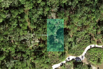 0 Hwy 60 E unit MFRS5131013, Frostproof, FL 33843 - photo 2