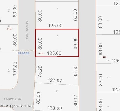 2837 Fitzpatrick Ave SW, Palm Bay, FL 32908 - photo 2