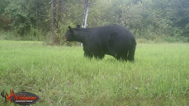 1354 Bryantown Rd, Rich Square, NC 27869 - photo 3