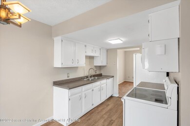 06-832-Armstrong-Rd-Lansing-WindowStill-