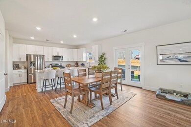 232 Artist Ave, Johnson City, TN 37615 - photo 2