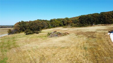 TBD Tract 1 Centerpoint Church Rd, Prairie Grove, AR 72753 - photo 3