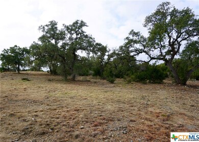 606 Angelica Vista, Canyon Lake, TX 78133 - photo 7