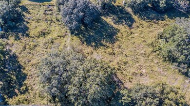 8422 Radio Ln, Tampa, FL 33619 - photo 5